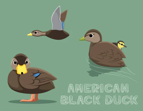 American Black Duck Cartoon Vector Ilustração — Vetor de Stock