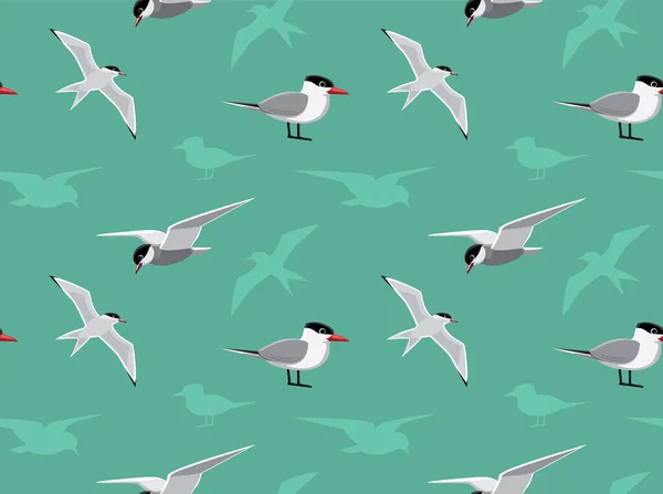 Безшовный Рисунок Обоев Bird Tern — стоковый вектор