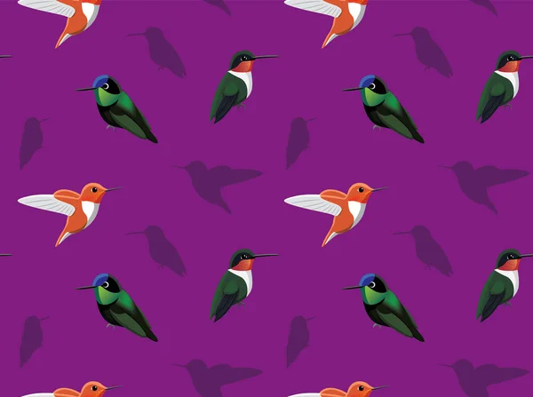 Vogel Kolibri Karikatur Tapete — Stockvektor