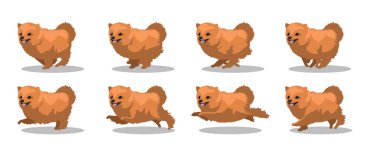 Pomeranian Koşan Yanlı Çizgi Film Canlandırma Çerçeve Vektörü