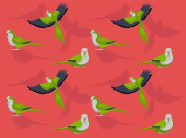 Quaker Papağanı Muhabbet Kuşu Çizgi Film Karakteri Kusursuz Duvar Kağıdı Arkaplanı