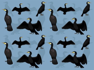 Büyük Karabatak Karakteri Kusursuz Duvar Kağıdı Arkaplanı