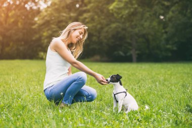 Güzel bir kadın onun sevimli köpek Jack Russell Terrier doğal besleme sahiptir. Görüntü kasten tonda.