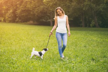 Güzel bir kadın ile onun sevimli köpek Jack Russell Terrier doğada yürüyüş sahiptir. Görüntü kasten tonda.