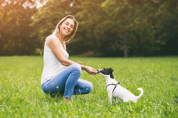 Piękna Kobieta Cieszy Karmienia Jej Ładny Pies Jack Russell Terrier — Zdjęcie stockowe