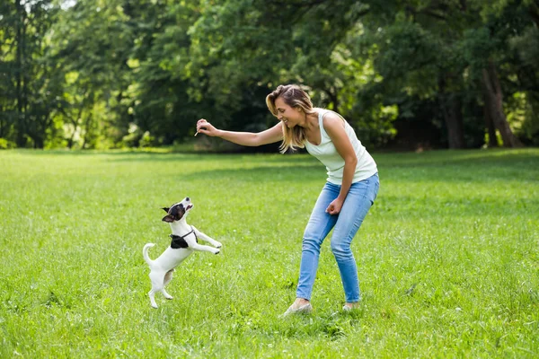 Femeia Frumoasă Bucură Hrănirea Câinelui Fericit Jack Russell Terrier Natură — Fotografie, imagine de stoc