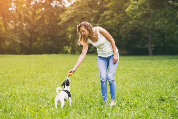 Όμορφη Γυναίκα Απολαμβάνει Παίζει Χαριτωμένο Σκυλάκι Τζακ Ρασελ Στη Φύση — Φωτογραφία Αρχείου