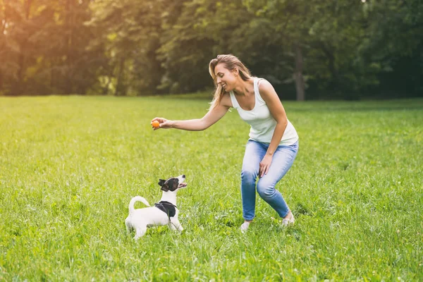 Hermosa Mujer Disfruta Jugando Con Lindo Perro Jack Russell Terrier — Foto de Stock