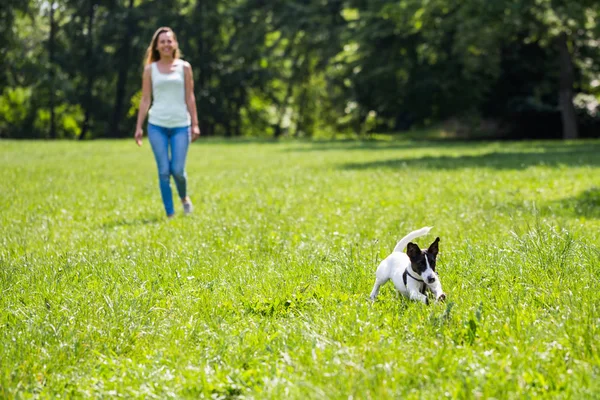 Όμορφη Γυναίκα Απολαμβάνει Βόλτες Σκύλο Ευτυχισμένο Τζακ Ρασελ Στη Φύση — Φωτογραφία Αρχείου