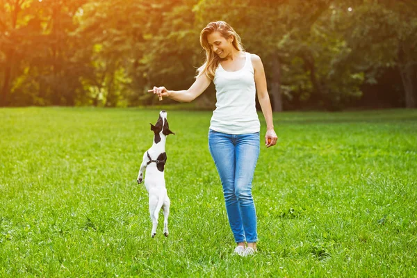 Schöne Frau Genießt Ihren Süßen Hund Jack Russell Terrier Der — Stockfoto