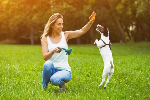 Mujer Perro Jack Russell Terrier Jugando Naturaleza Imagen Tonifica Intencionalmente — Foto de Stock