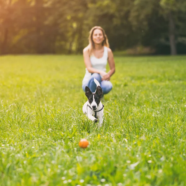 Mujer Perro Jack Russell Terrier Jugando Naturaleza Imagen Tonifica Intencionalmente — Foto de Stock