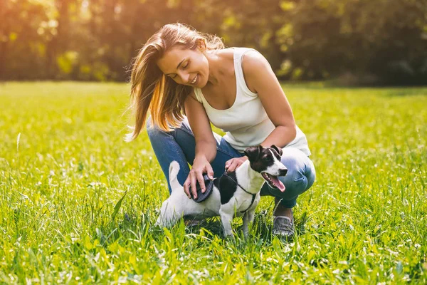 Piękna Kobieta Czesanie Jej Pies Jack Russell Terrier Naturze Obraz — Zdjęcie stockowe