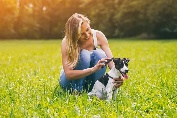 Güzel kadın köpeğini Jack Russell Terrier doğada penye. Görüntü kasten tonda.