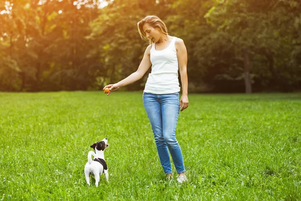 Güzel kadın doğada onun sevimli köpek Jack Russell Terrier ile oynamaktan hoşlanıyor. Görüntü kasten tonda.