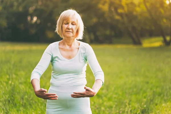 年配の女性は Tai Chi 自然の中の運動を楽しんでいます 画像は意図的にトーンダウンです — ストック写真