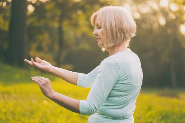 Kadın kıdemli Egzersiz Tai Chi doğada sahiptir. Görüntü kasten tonda.