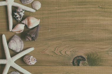 İki deniz yıldızı ve kabukları ahşap masa üzerinde görüntü. Görüntü kasten tonda.