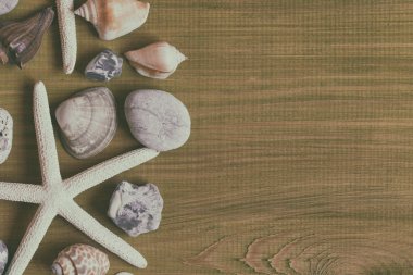 Deniz yıldızı, kabukları ve taşlar ahşap masa üzerinde görüntü. Görüntü kasten tonda.