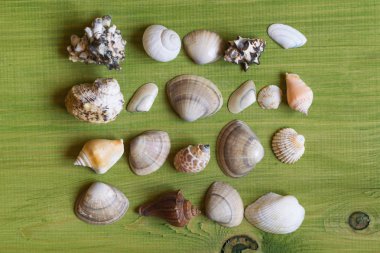 Kabukları ahşap masa üzerinde görüntü. Görüntü kasten tonda.