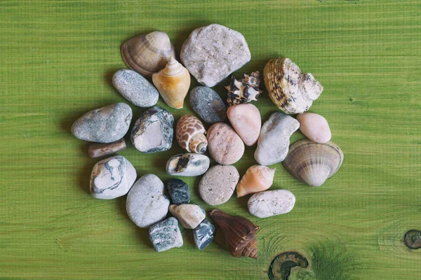Imagem Conchas Pedras Mesa Madeira Imagem Intencionalmente Tonificada — Fotografia de Stock