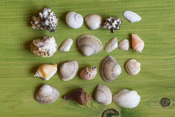 Kabukları ahşap masa üzerinde görüntü. Görüntü kasten tonda.