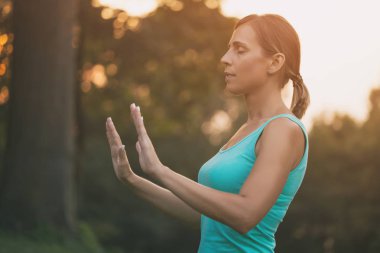 Güzel kadın doğada Tai Chi egzersiz sahiptir. Görüntü kasten tonda.