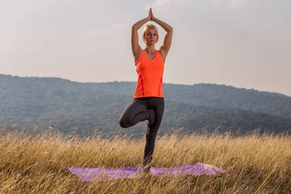 Mujer Hermosa Haciendo Yoga Naturaleza Árbol Pose Vrikshasana Image Tonifica —  Fotos de Stock