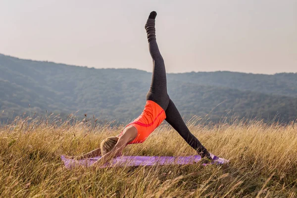 Hermosa Mujer Haciendo Yoga Naturaleza Adho Mukha Svanasana Postura Del —  Fotos de Stock