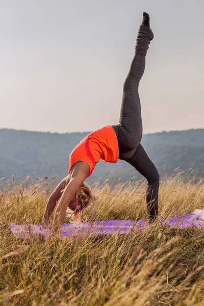 美丽的女人做瑜伽的性质 Ekopada 桥姿势与右腿向上 图像是故意色调 — 图库照片