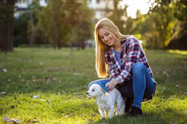 Mooie Vrouw Kammen Haar Maltese Hond Het Park — Stockfoto