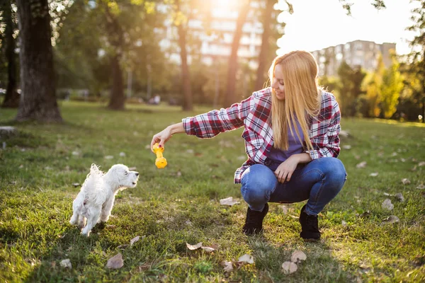 Όμορφη Γυναίκα Παίζει Τον Μαλτέζο Σκύλο Της Στο Πάρκο — Φωτογραφία Αρχείου