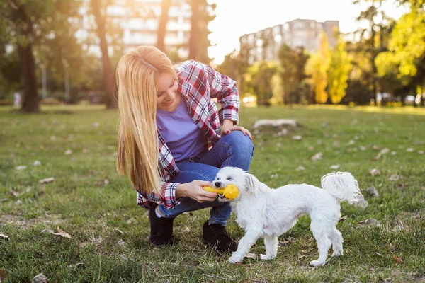 Hermosa Mujer Está Jugando Con Perro Maltés Parque — Foto de Stock