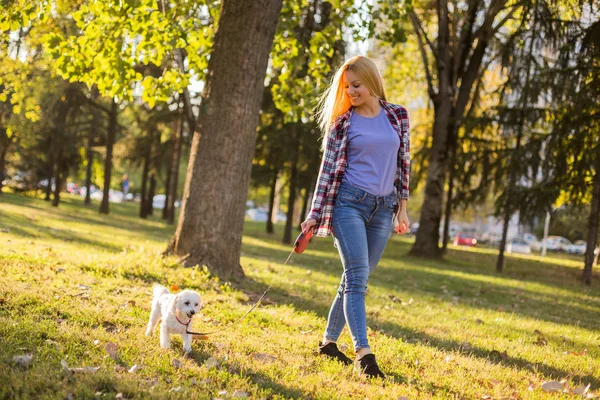 Όμορφη Γυναίκα Περπατά Μαλτέζικο Σκυλί Της Στο Πάρκο — Φωτογραφία Αρχείου