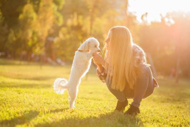 Güzel bir kadın Malta 'lı köpeğiyle dışarıda vakit geçiriyor..