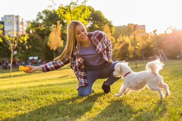 美しい女性は公園で彼女のマルタ犬と遊んでいます — ストック写真