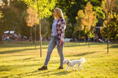 Parkta Malta köpeğiyle yürüyen güzel bir kadın..