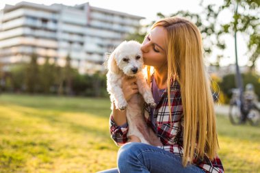 Güzel bir kadın Malta 'lı köpeğiyle dışarıda vakit geçiriyor..