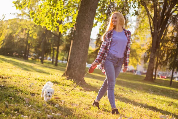 美しい女性歩く彼女とともに彼女のマルタ犬で公園 — ストック写真