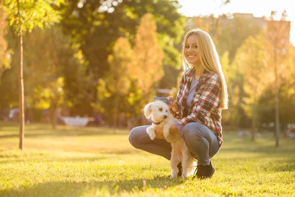 美しい女性来る彼女のマルタ犬で公園 — ストック写真
