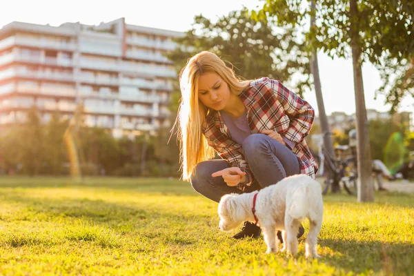 Kobieta Beszta Swojego Maltańskiego Psa Podczas Spędzania Czasu Parku — Zdjęcie stockowe