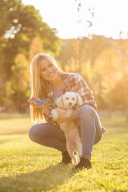 Parkta Malta köpeğini tarayan güzel bir kadın..