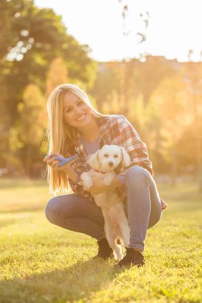 Hermosa Mujer Peinando Perro Maltés Parque — Foto de Stock