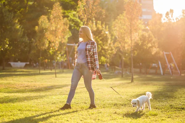 Красивая Женщина Гуляет Своей Мальтийской Собакой Парке — стоковое фото