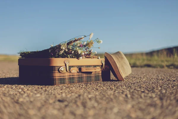 乡村道路上的旧手提箱 帽子和鲜花的图片 — 图库照片