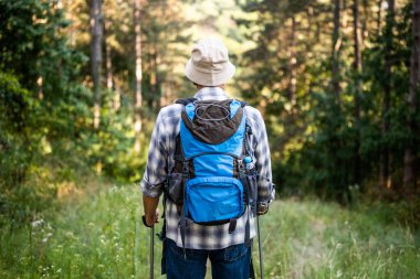 Şapkalı ve sırt çantalı yaşlı bir adam yürüyüş direkleri tutarken orman çöllerini keşfe ve yürüyüşe çıkıyor..