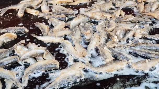 Kleine vis is gebakken in een koekenpan in de kerstmarkt in Hannover — Stockvideo