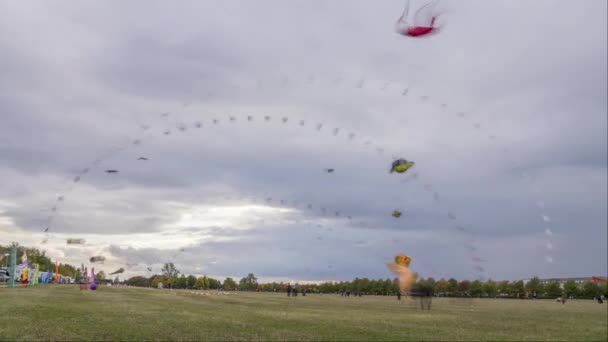 Hannover, Duitsland-28 september 2019: Kite Festival in Hannover am Kronsberg, Duitsland. Timelapse. — Stockvideo