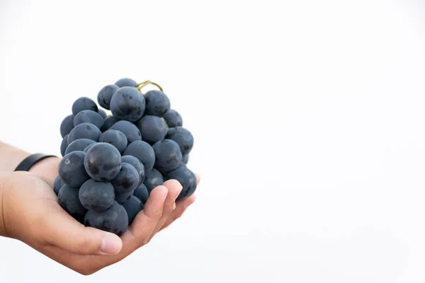 Poziome Ujęcie Dłoni Trzymającej Kilka Czarnych Winogron Białym Tle — Zdjęcie stockowe