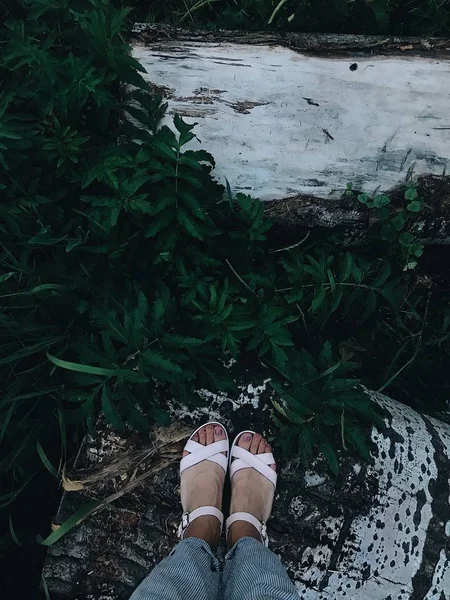 Grond met veel planten, varens, weelderige groene mos. Mooie achtergrond van natuurlijke vloer met mannelijke en vrouwelijke voeten, benen en schoenen. Zeer kleurrijke en hoge contrast getextureerde trendy biologische achtergrond. — Stockfoto